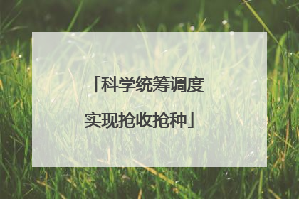 科学统筹调度实现抢收抢种